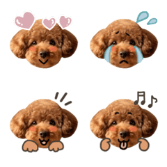 トイプーヴィオラ