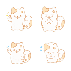 Deadpan White Cat Reactions