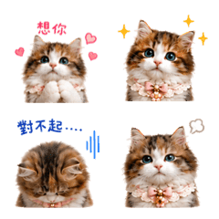 Hana-nai