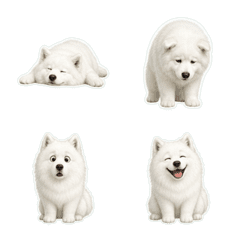 薩摩耶犬寫實風1A