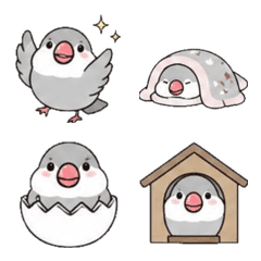 Lovely Java Sparrow Emoji ver1