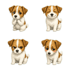 傑克羅素犬柔寫實1A