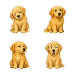 黃金獵犬柔寫實1A
