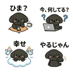 Black Poodle 2