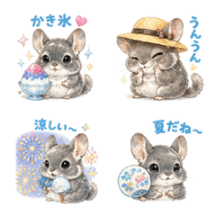 Chinchilla-san Summer
