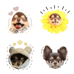 uni.emoji.