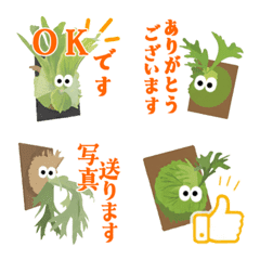 可愛鹿角蕨的禮貌用語