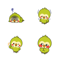 情緒不安定インコの毎日おもしろ絵文字40