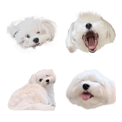 OYAKI Emoji vol.2