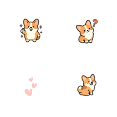蓬鬆可愛！柯基犬的日常小表情