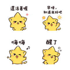 Smug Star Cat Teases
