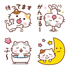 Nyantan the cat_ Everyday use