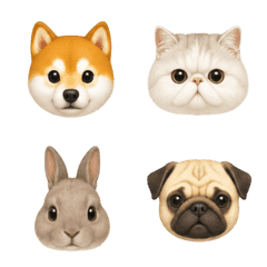 Cute Pet Faces