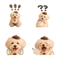 maro.emoji.3