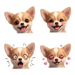 Chihuahua Line emoji 79