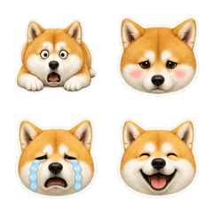 秋田犬只有臉1A