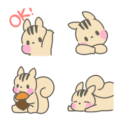 Cute squirrels