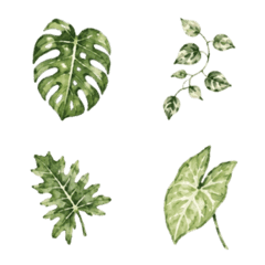 Living with Houseplants