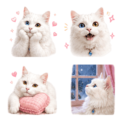 Stylish Cat's Daily Life Emojis