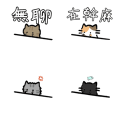 cat mao