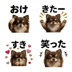Chihuahua Gen Z Talk Emojis