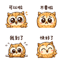 餅乾貓頭鷹短回應P26
