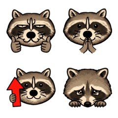 The Raccoon