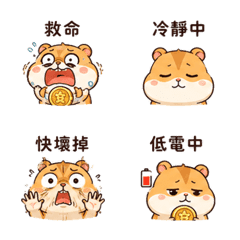硬幣倉鼠短回應P17