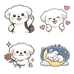 Daily Fluffy Casual Maltese