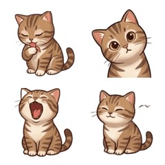 Kitty's  Daily Life