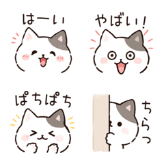 ふつうすぎる顔にゃんこ