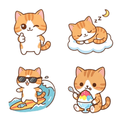 Cute Everyday Orange Tabby Cat Stickers