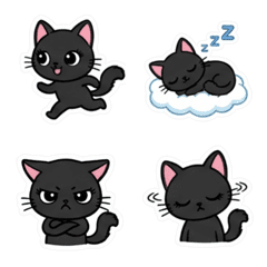 No text cat 2