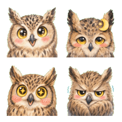 Forest Guardian! Blakiston's Owl
