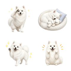 Year-Round Japanese Spitz Emoji