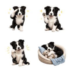 All-Season Border Collie Puppy Emoji
