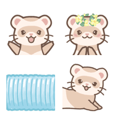 うちのかわいいフェレット♩シナモン