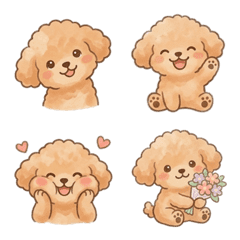 Daily Casual Fluffy Toy Poodle