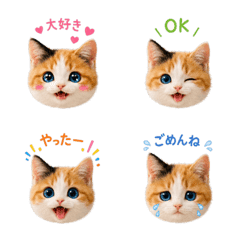 Mike the Calico Cat Emoji 3