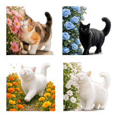 Cats and Beautiful Flowers