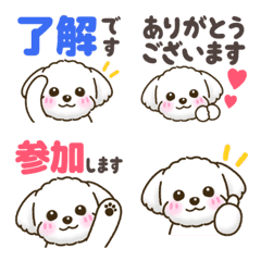 Lovely Maltese Reaction Emojis