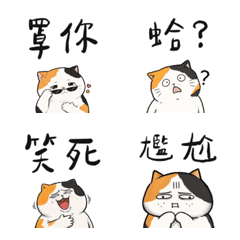 건방진 삼색 고양이