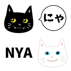 Love black and white cats