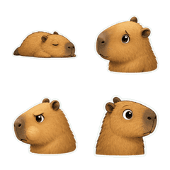 Capybara Profile 1A