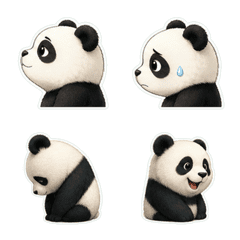 Panda Profile 1A