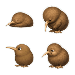 Kiwi Bird Profile 1A