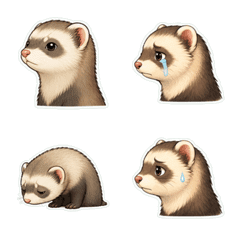 Ferret Profile 1A