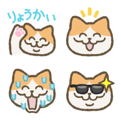 A cheerful orange cat