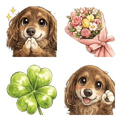 Dachshund Karin