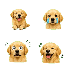 Golden Retriever Mood Collection